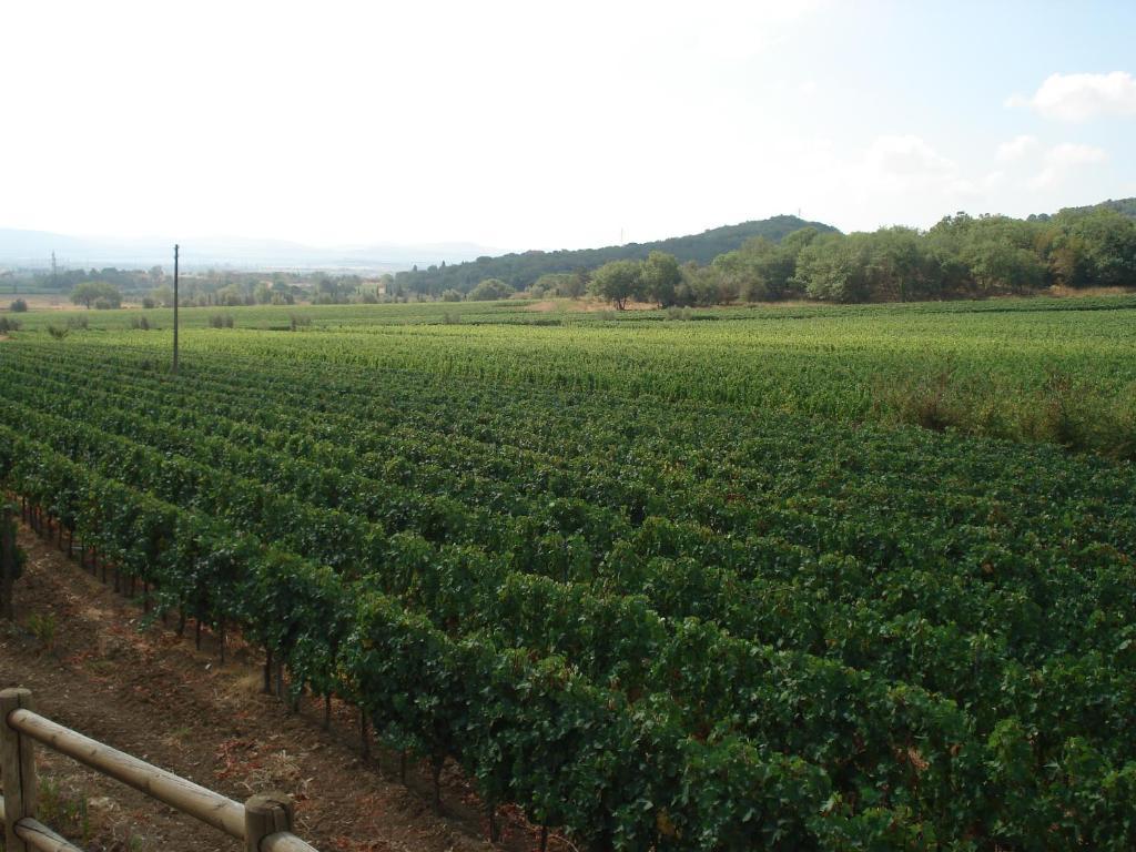 Agriturismo La Fontanella Bauernhof *