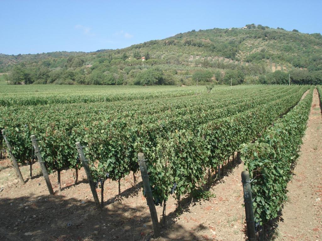 Agriturismo La Fontanella * Suvereto