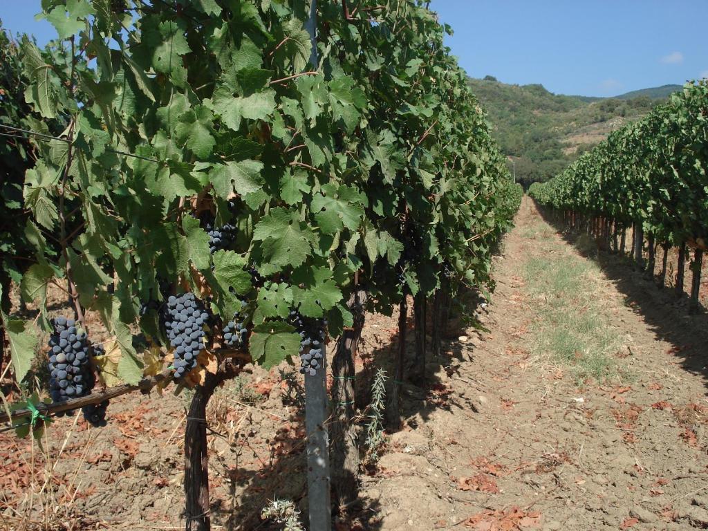 Bauernhof Agriturismo La Fontanella