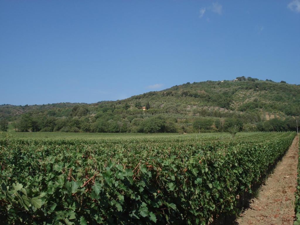 Agriturismo La Fontanella Bauernhof Suvereto