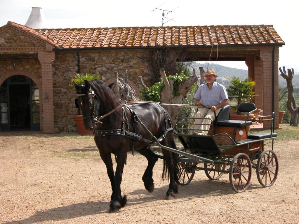 Agriturismo La Fontanella Bauernhof